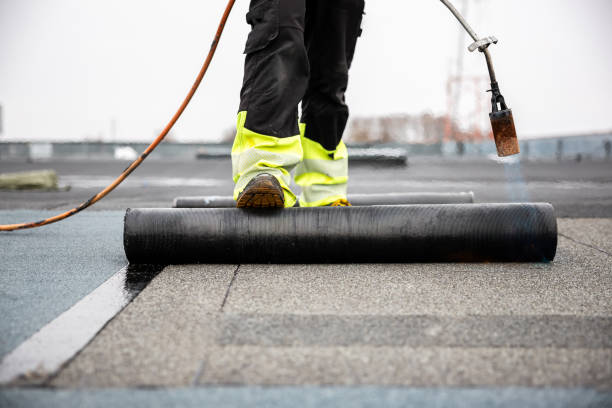 Best Steel Roofing  in , AZ